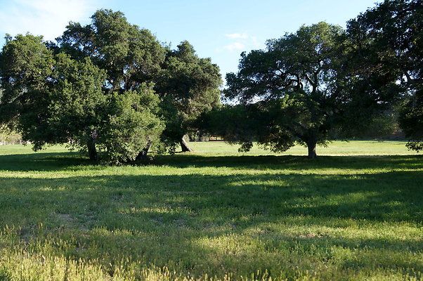 GOR.West.Meadow.11