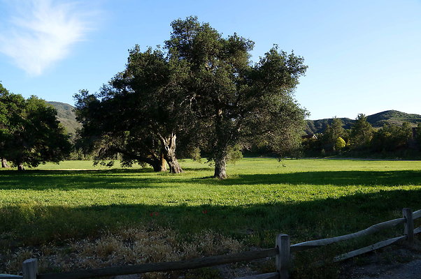 GOR.West.Meadow.15