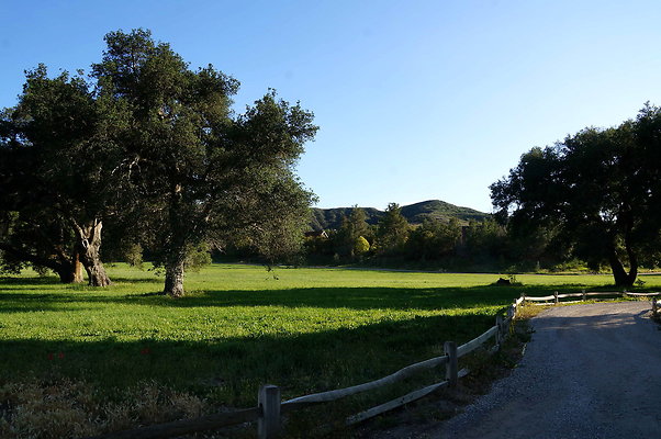 GOR.West.Meadow.16
