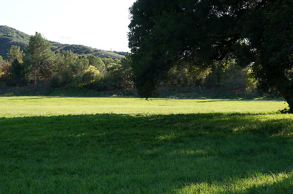 GOR.West.Meadow.07