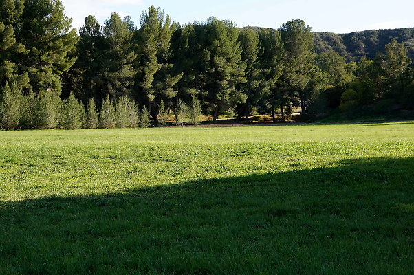 GOR.West.Meadow.05