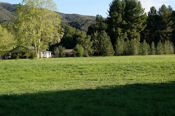 GOR.West.Meadow.04