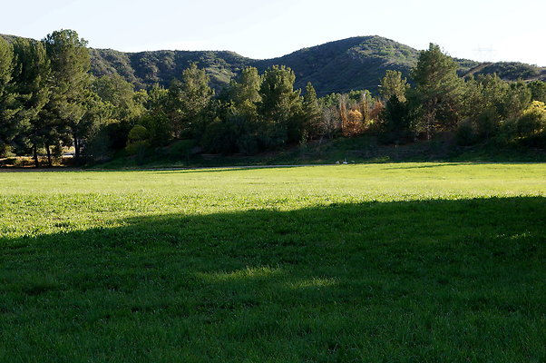 GOR.West.Meadow.06