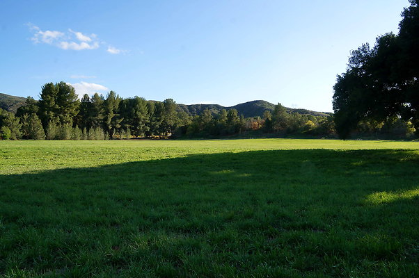 GOR.West.Meadow.02