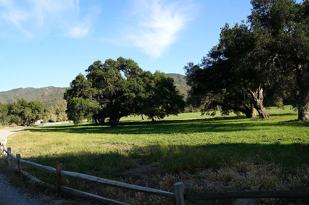 GOR.West.Meadow.14