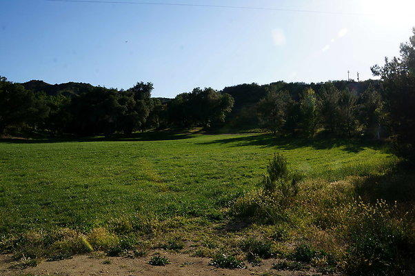 DSC01357