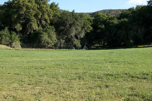 DSC01359