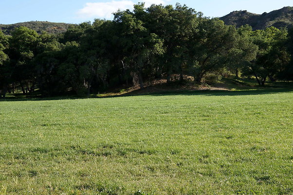 DSC01360