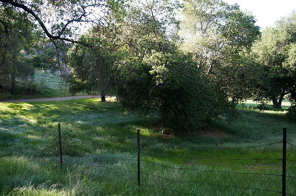 DSC01370