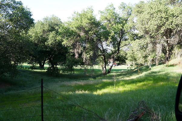 DSC01371