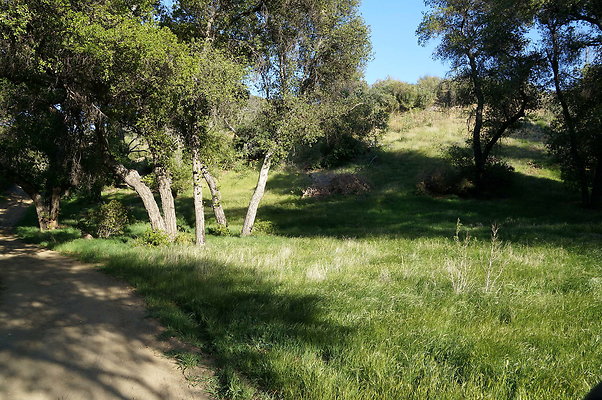 DSC01369