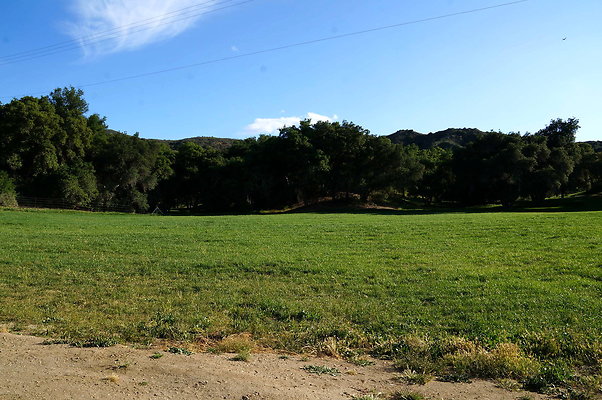 DSC01356