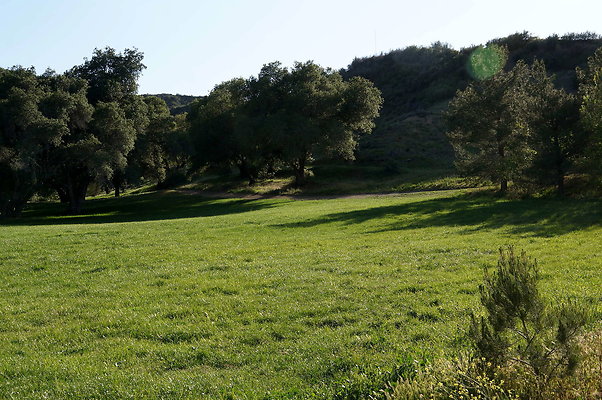 DSC01362