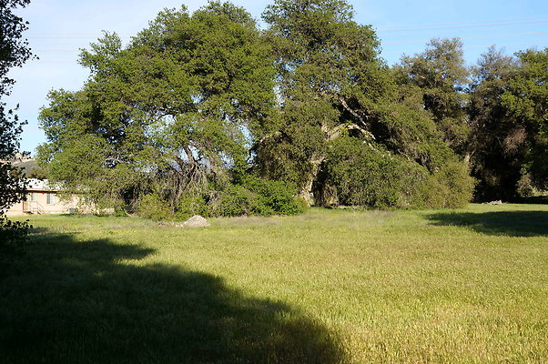 DSC01391