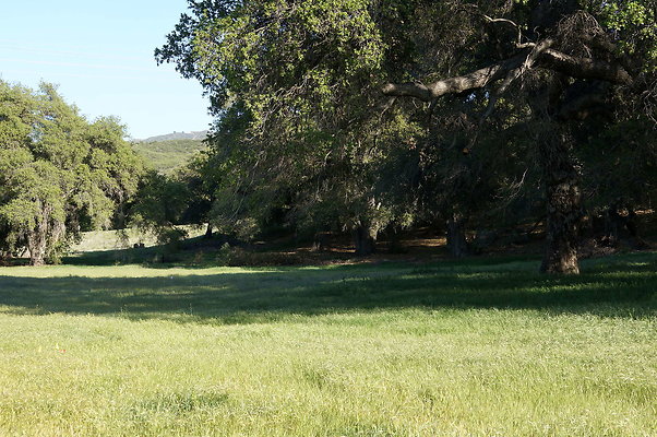 DSC01393