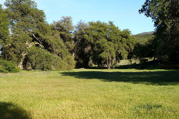 GO.Ranch.Mudder.Meadow