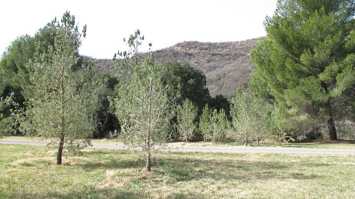GOR.Heil.Canyon.27