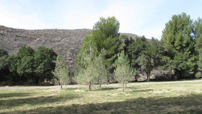 GOR.Heil.Canyon.24
