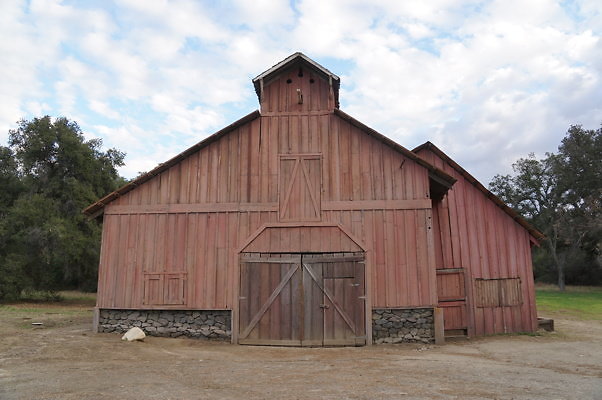 DSC07131