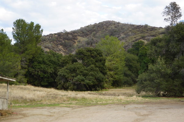 DSC07119