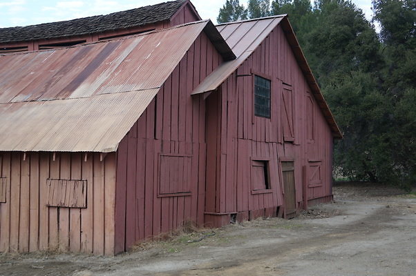 DSC07155