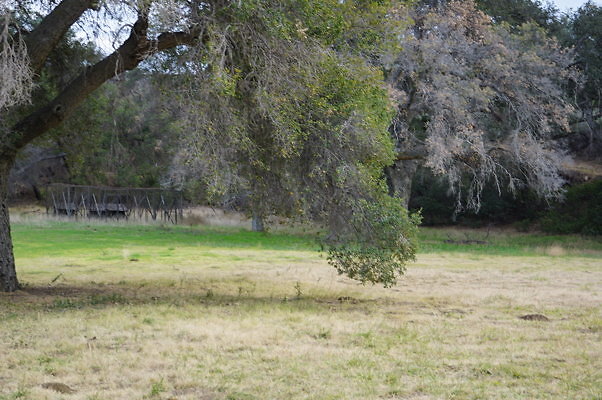 DSC07121