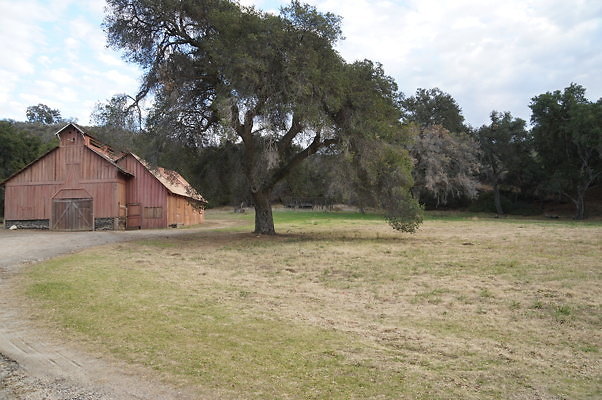 DSC07118