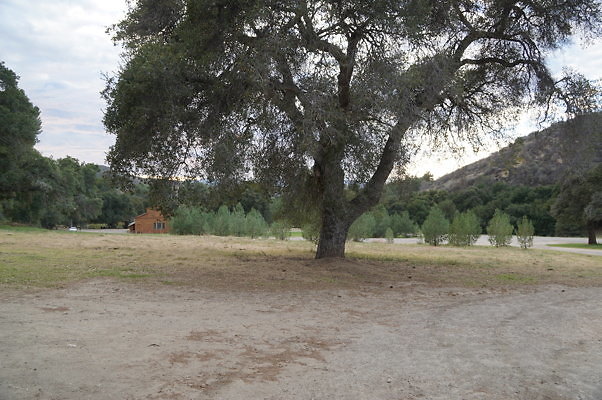 DSC07135