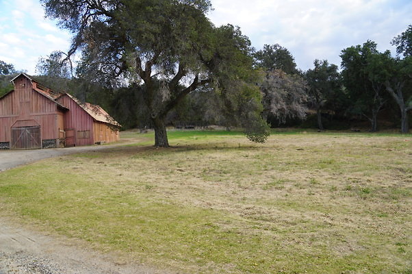 DSC07124