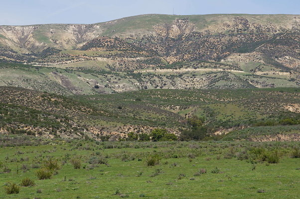 DSC01204