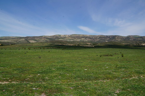 DSC01196