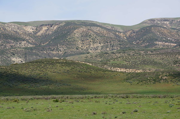 DSC01205