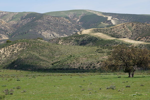 DSC01206