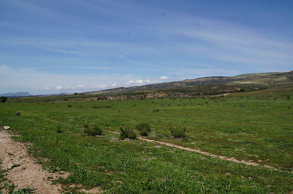 DSC01195