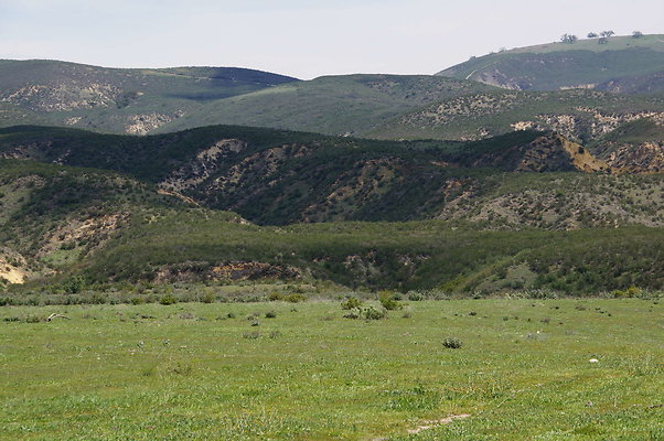 DSC01207
