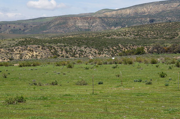 DSC01200