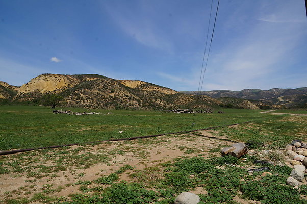 DSC01175
