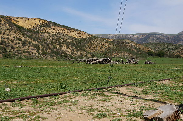 DSC01181
