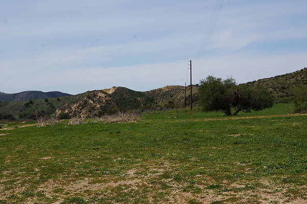 DSC01176