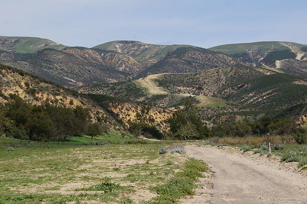 DSC01191