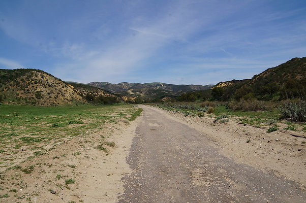 DSC01189