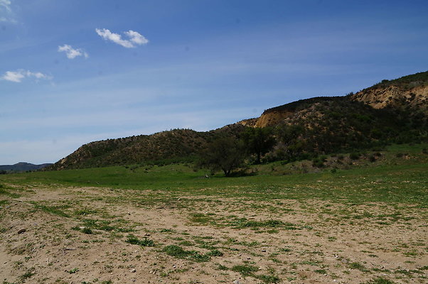 DSC01185