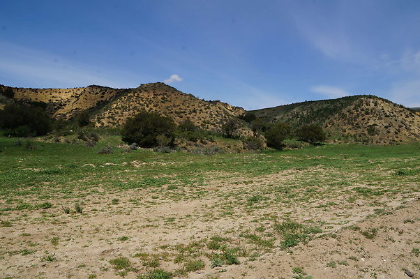 DSC01188