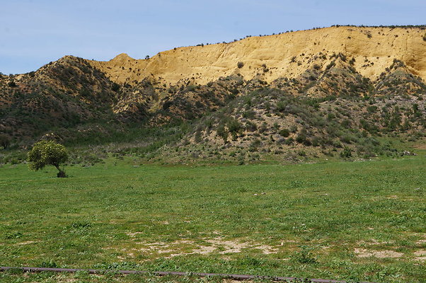 DSC01178