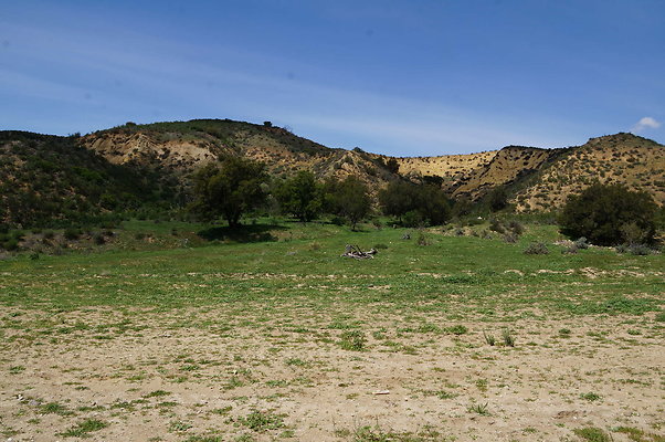 DSC01186