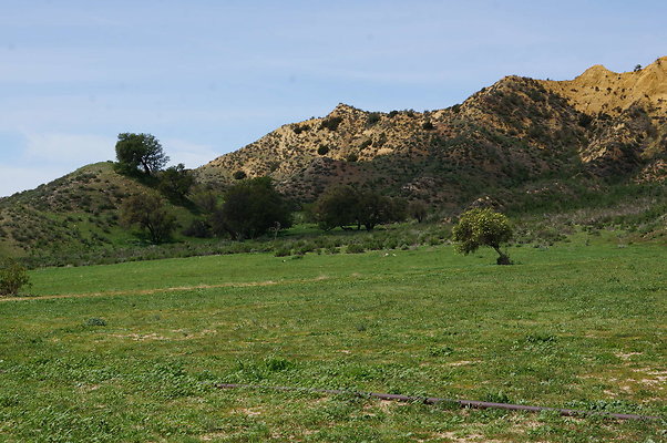 DSC01177
