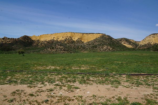 DSC01174