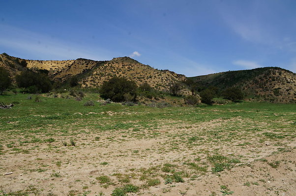 DSC01187