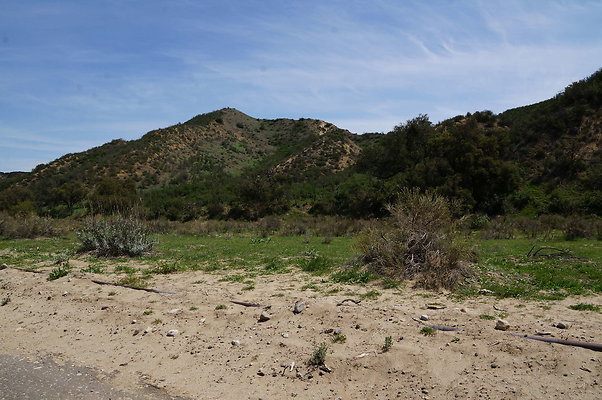 DSC01190