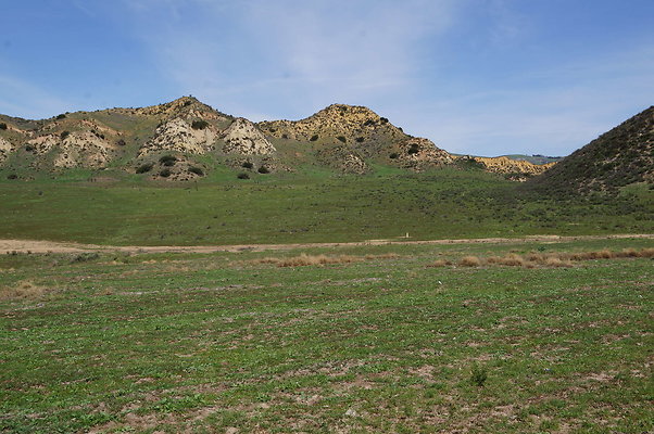 DSC01146